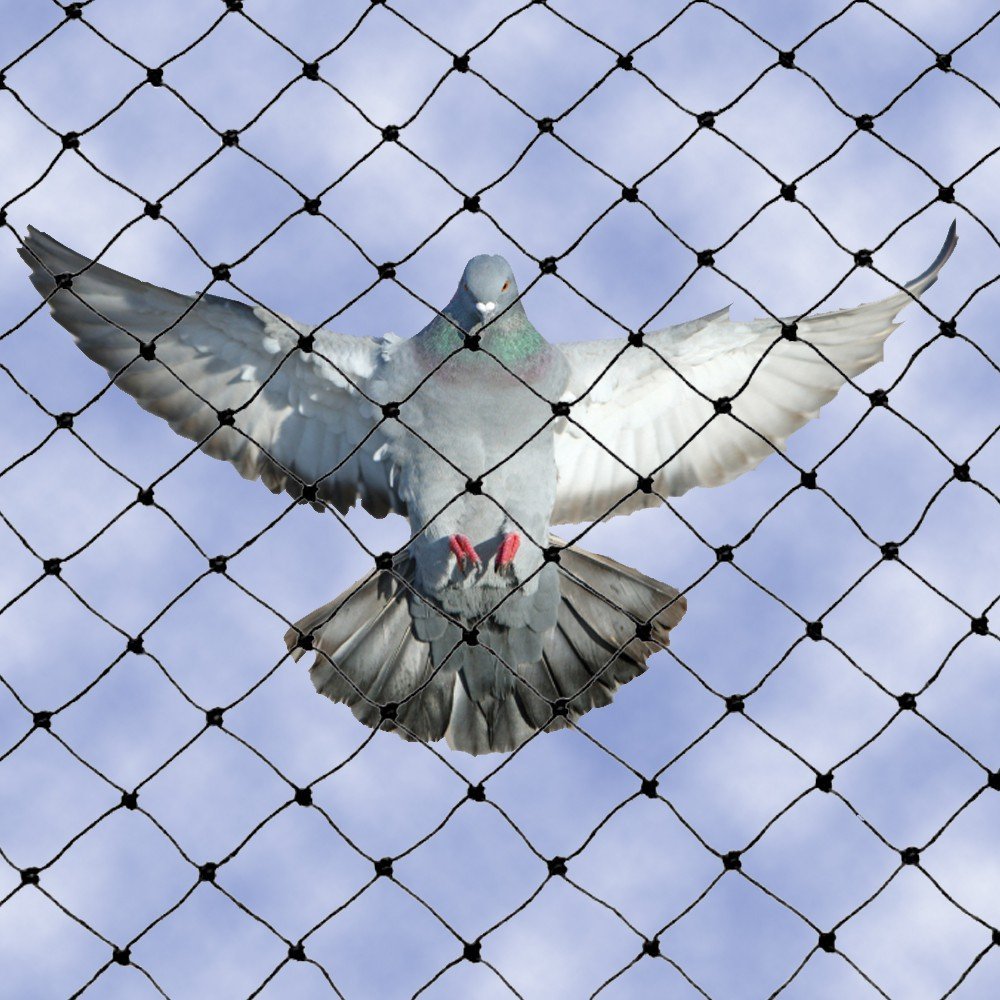 Pigeon net covering a residential balcony